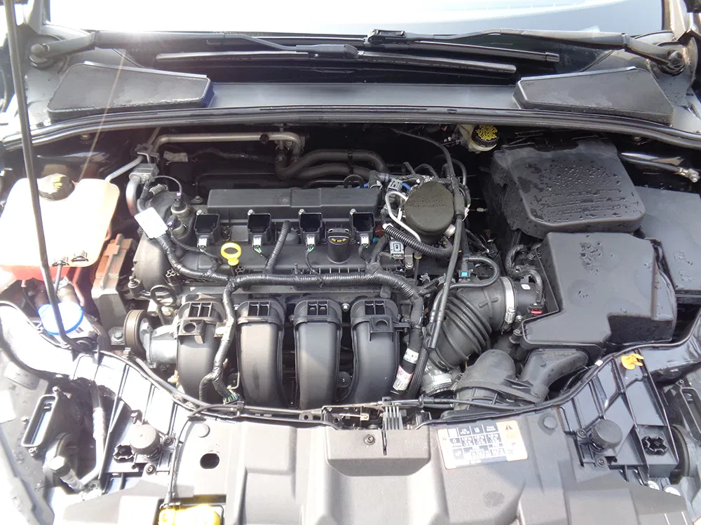 
								FORD FOCUS SE full									