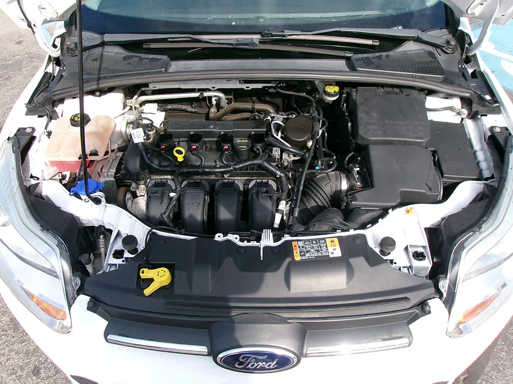 
								FORD FOCUS SE full									