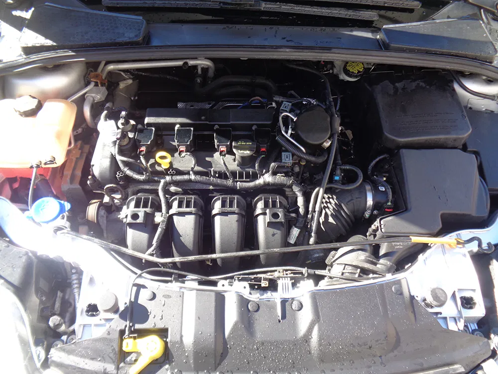 
								FORD FOCUS SE full									