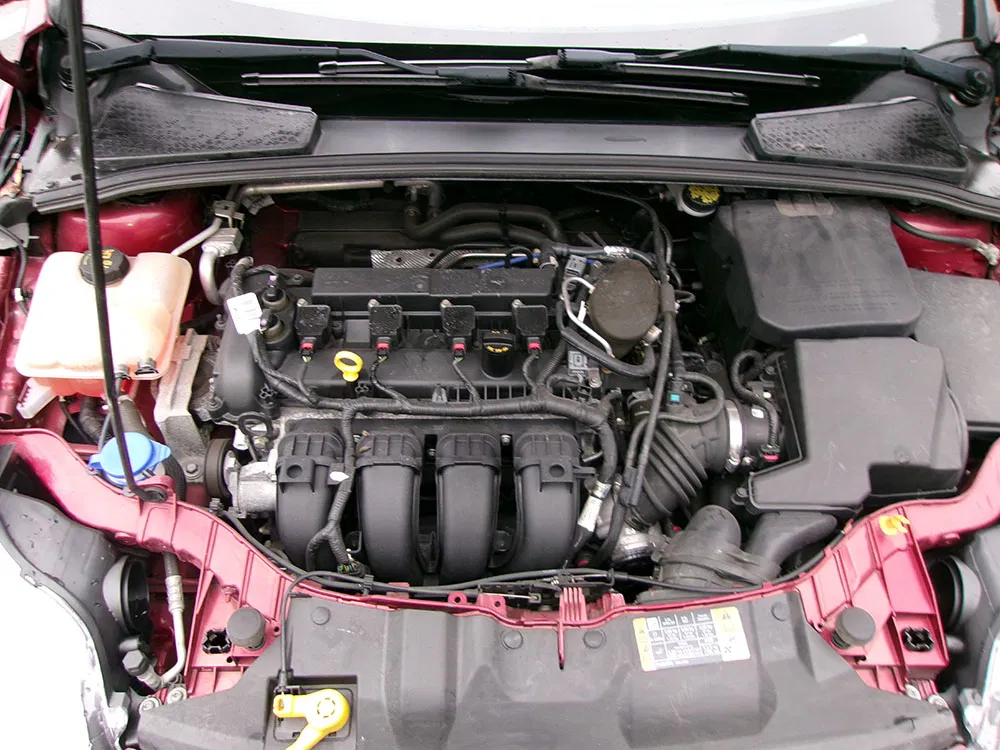 
								FORD FOCUS SE full									