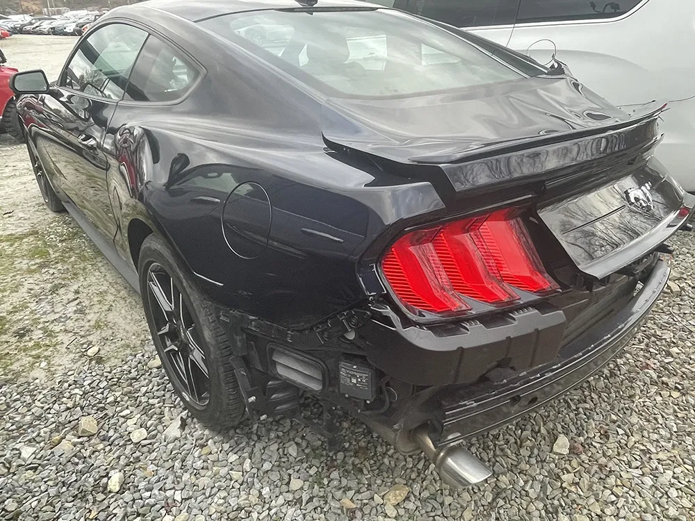 
								FORD MUSTANG ECOBOOST PREMIUM full									