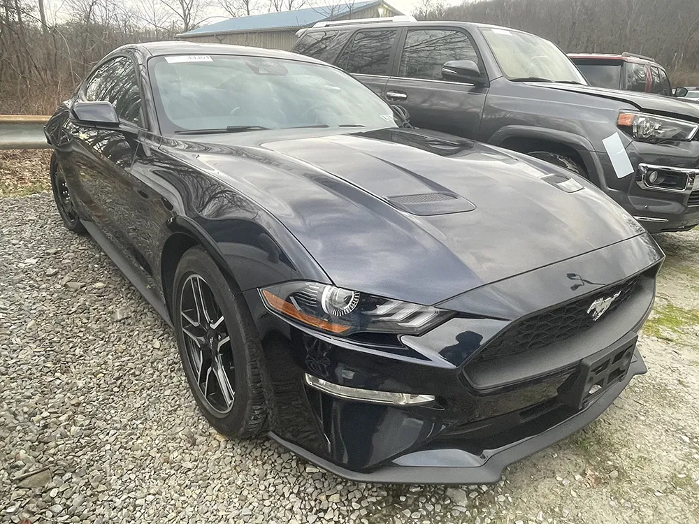
								FORD MUSTANG ECOBOOST PREMIUM full									