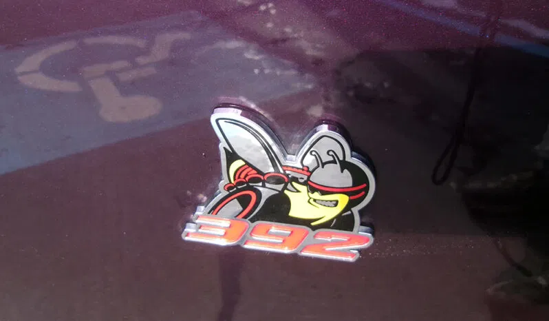 
								DODGE CHALLENGER R/T SCAT PACK full									