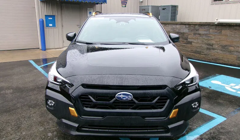 
								SUBARU CROSSTREK WILDERNESS full									