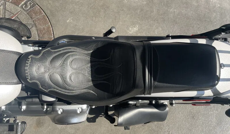 
								HARLEY DAVIDSON FATBOY LO FLSTFB full									