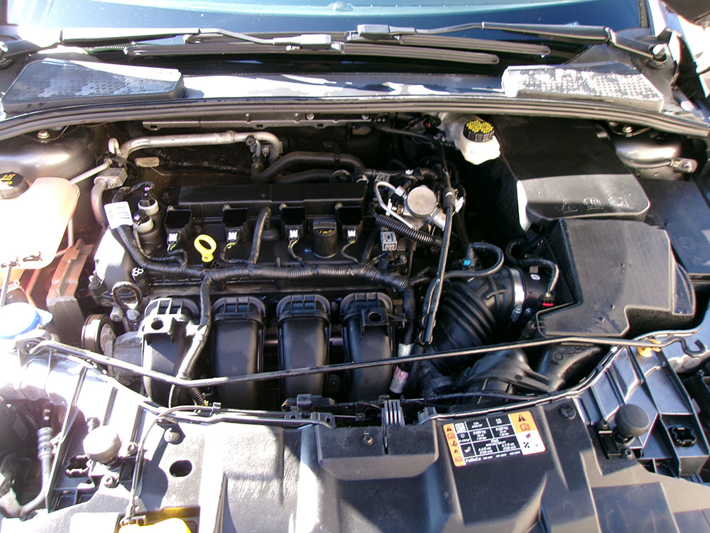 
								FORD FOCUS SEL full									