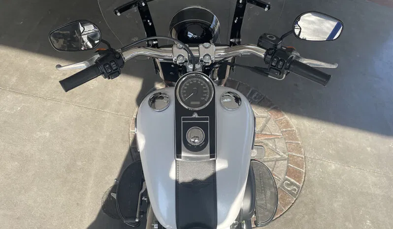 
								HARLEY DAVIDSON FATBOY LO FLSTFB full									