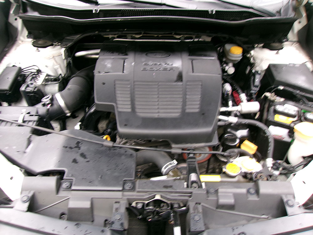 
								SUBARU FORESTER SPORT full									