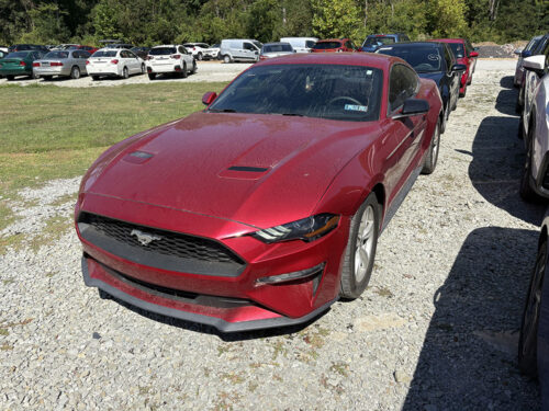 2020 Ford Mustang EcoBoost's photo