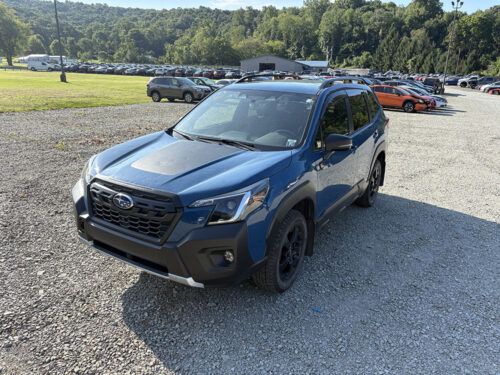 SUBARU FORESTER WILDERNESS