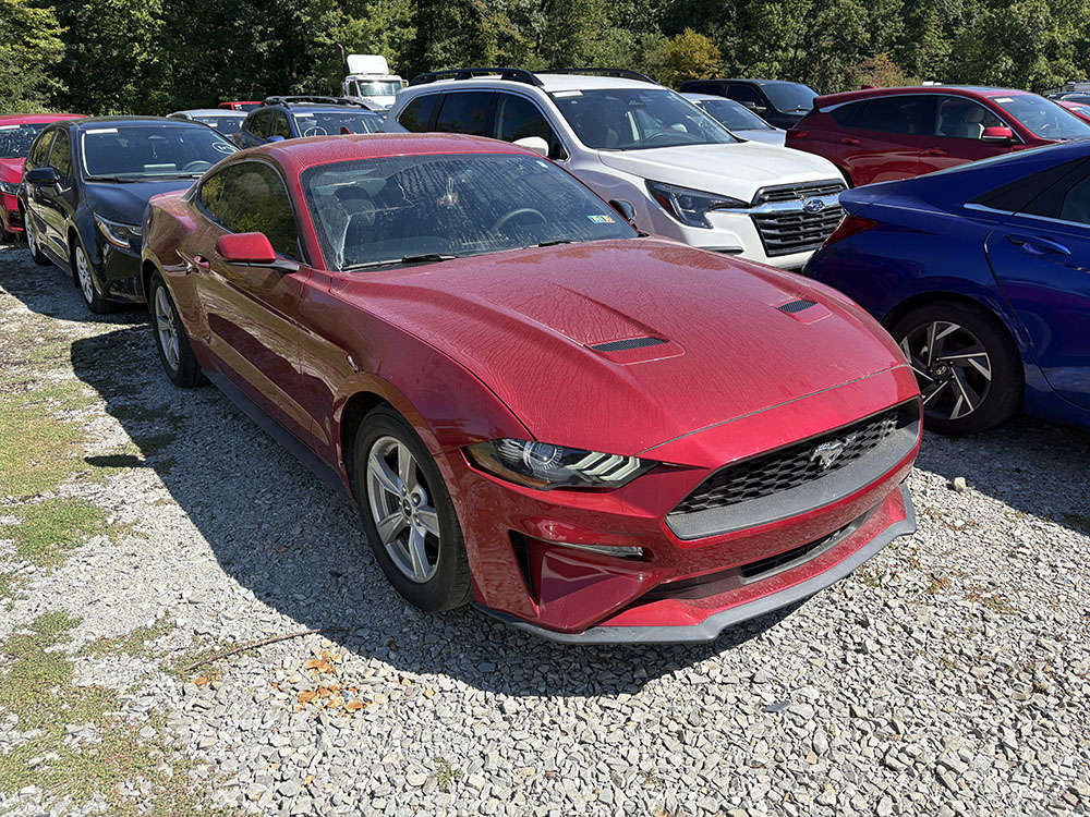 
								FORD MUSTANG ECOBOOST full									