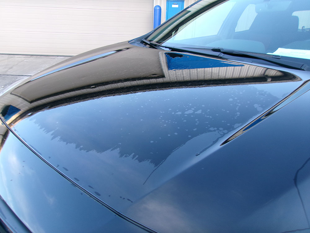 
								SUBARU IMPREZA SPORT full									