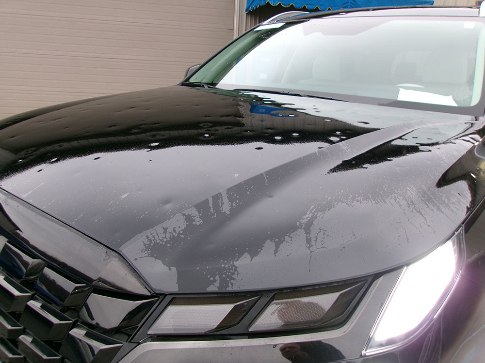 
								HYUNDAI PALISADE LIMITED full									