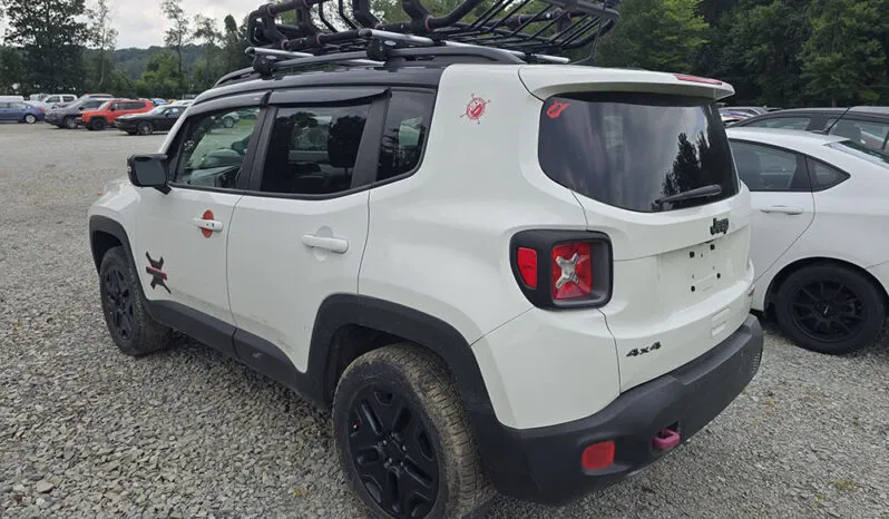 
								JEEP RENEGADE TRAILHAWK full									