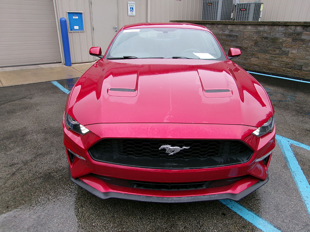 
								FORD MUSTANG ECOBOOST full									
