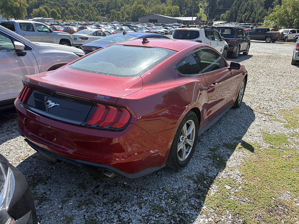 
								FORD MUSTANG ECOBOOST full									
