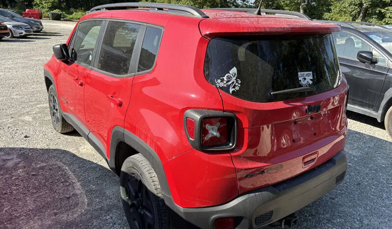 
								JEEP RENEGADE SPORT full									