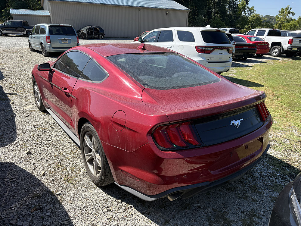 
								FORD MUSTANG ECOBOOST full									