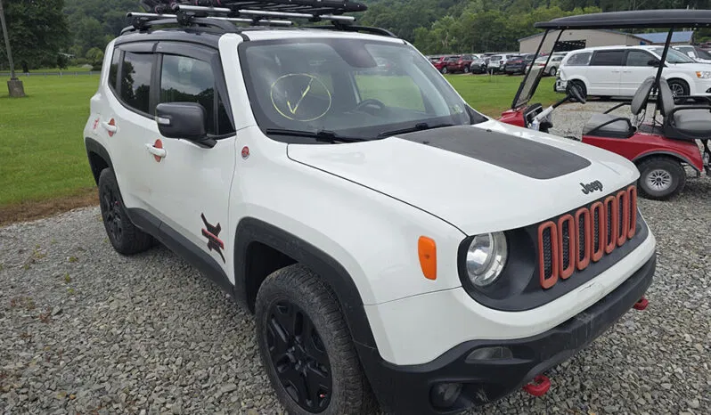 
								JEEP RENEGADE TRAILHAWK full									