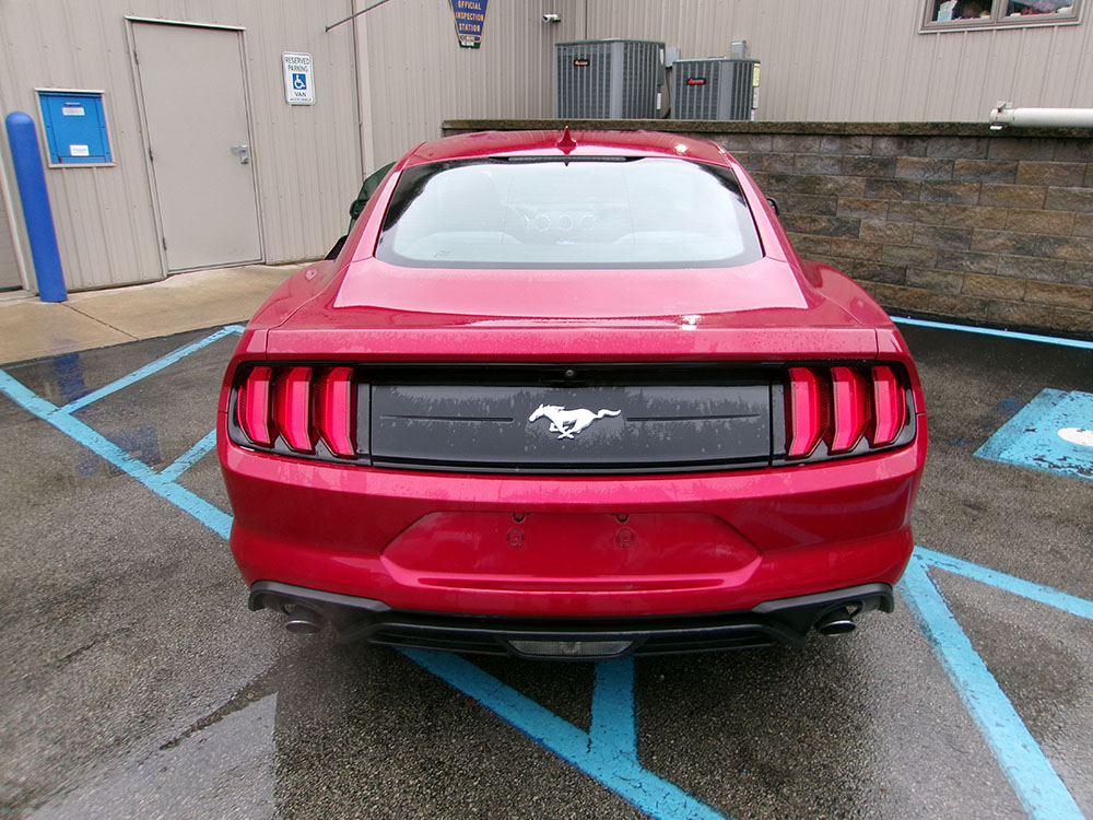 
								FORD MUSTANG ECOBOOST full									