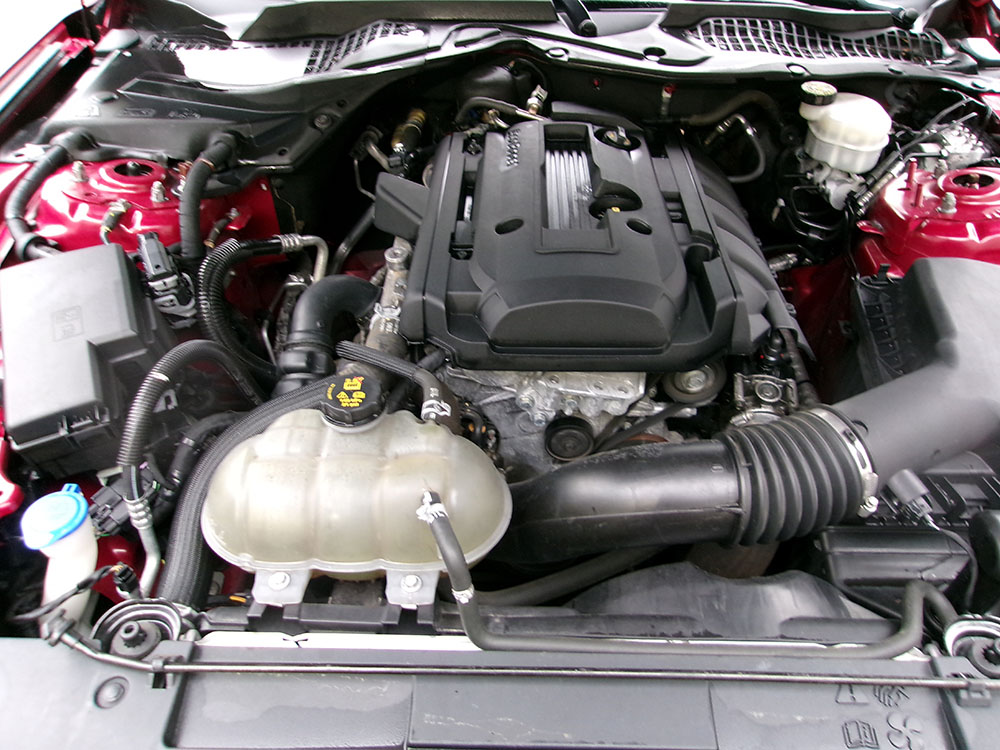 
								FORD MUSTANG ECOBOOST full									
