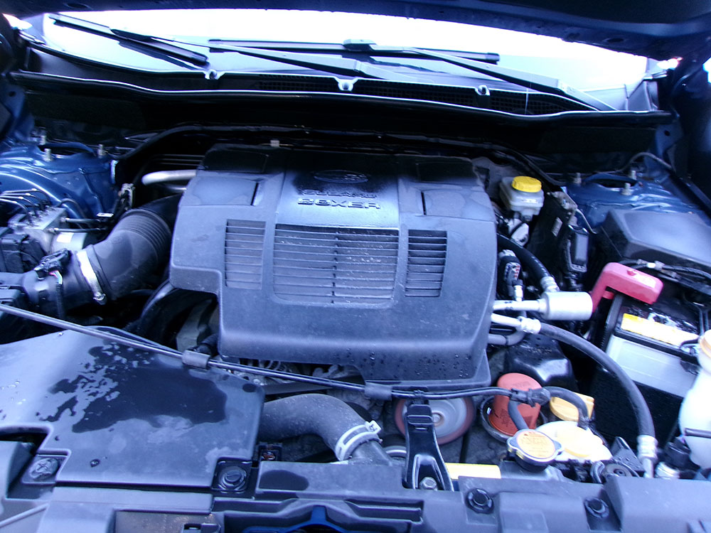 
								SUBARU FORESTER full									