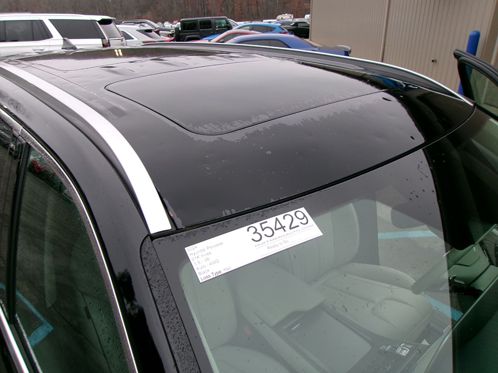 
								HYUNDAI PALISADE LIMITED full									