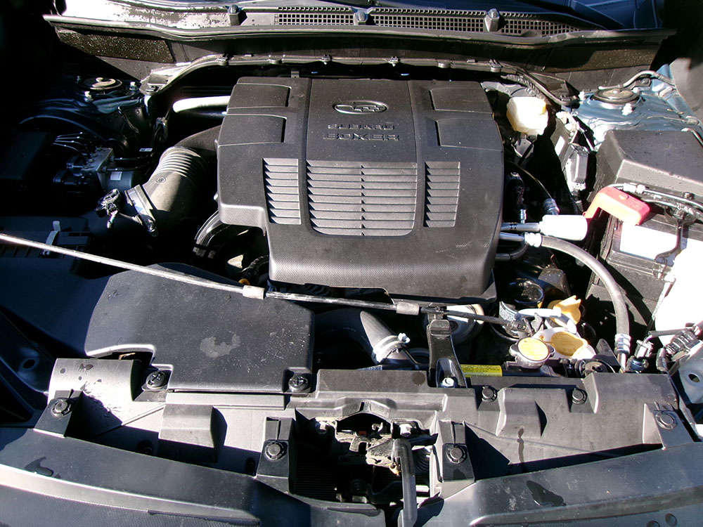 
								SUBARU FORESTER WILDERNESS full									