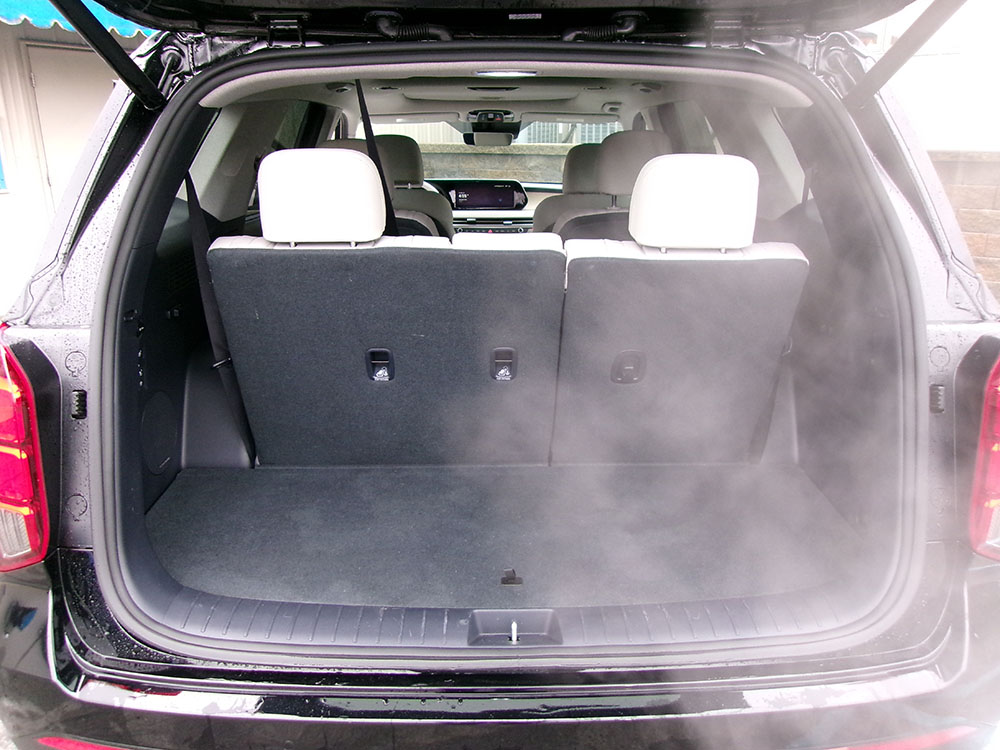 
								HYUNDAI PALISADE LIMITED full									