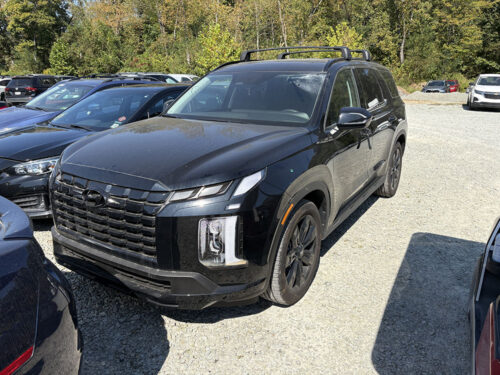 HYUNDAI PALISADE XRT