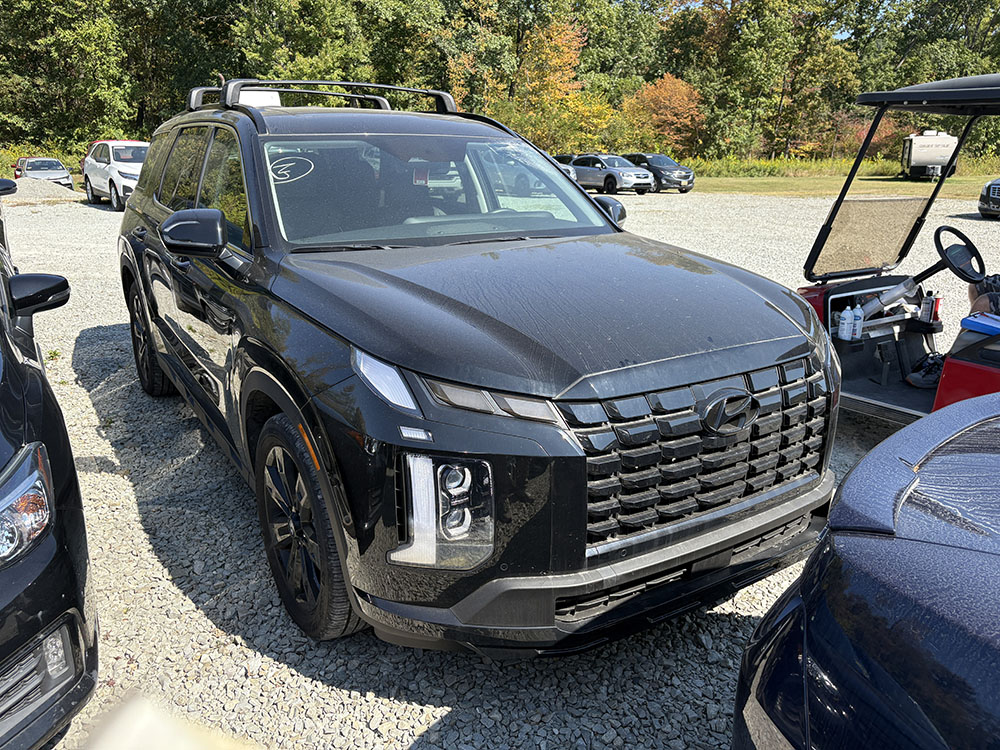 
								HYUNDAI PALISADE XRT full									