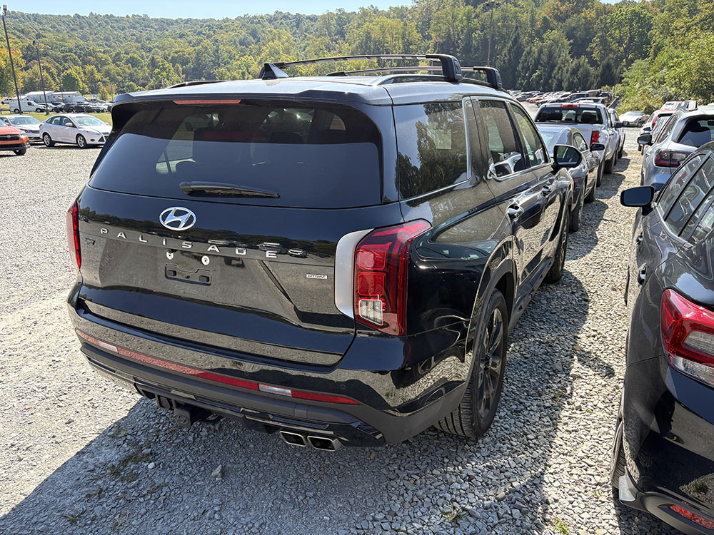 
								HYUNDAI PALISADE XRT full									