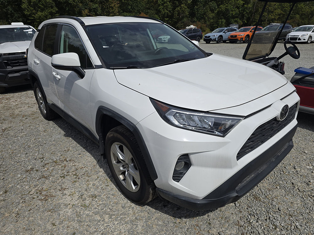 
								TOYOTA RAV4 XLE full									