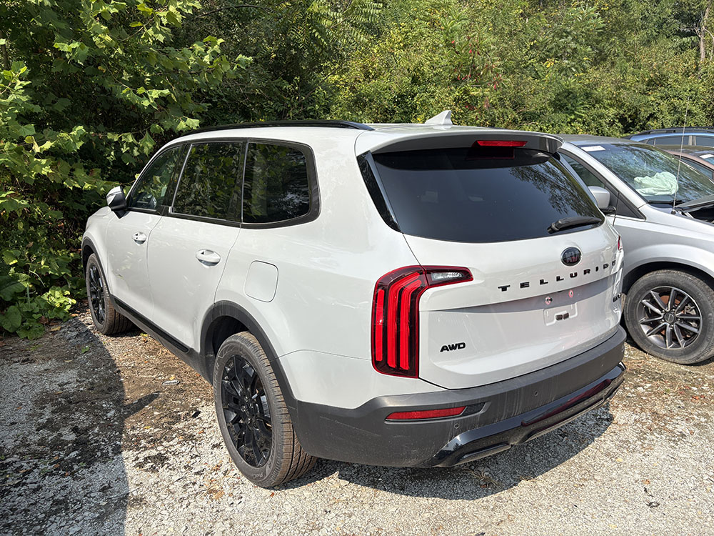 
								KIA TELLURIDE EX full									