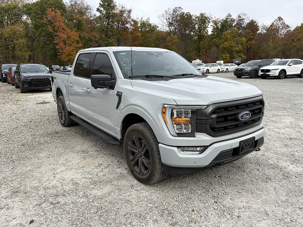 
								FORD F-150 SPORT SUPER CREW CAB full									
