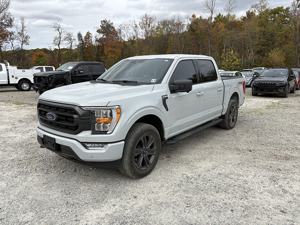 
								FORD F-150 SPORT SUPER CREW CAB full									