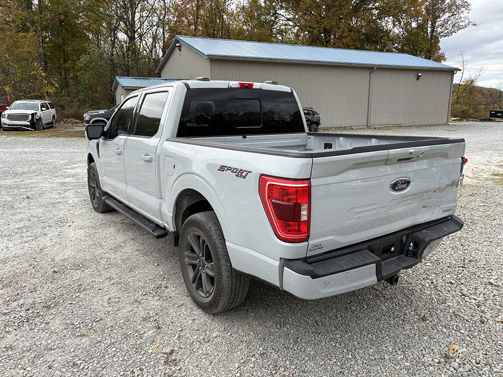 
								FORD F-150 SPORT SUPER CREW CAB full									
