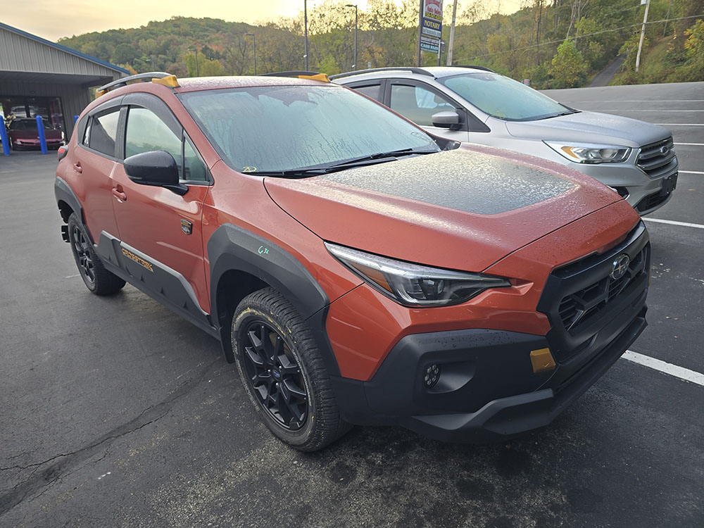 
								SUBARU CROSSTREK WILDERNESS full									