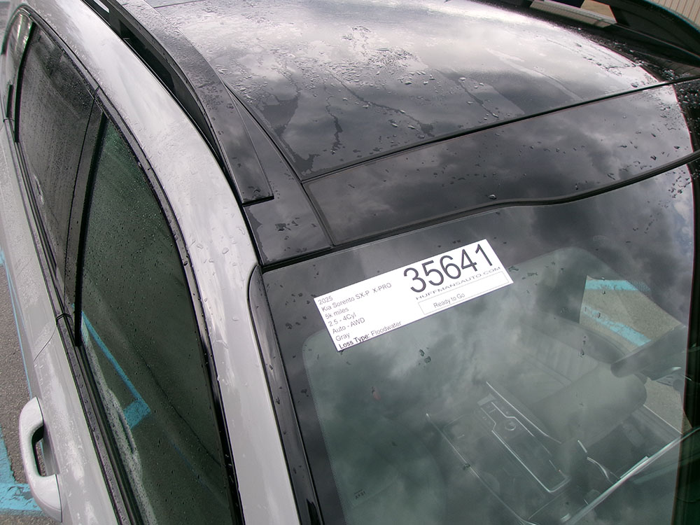 
								KIA SORENTO SX-P X-PRO full									