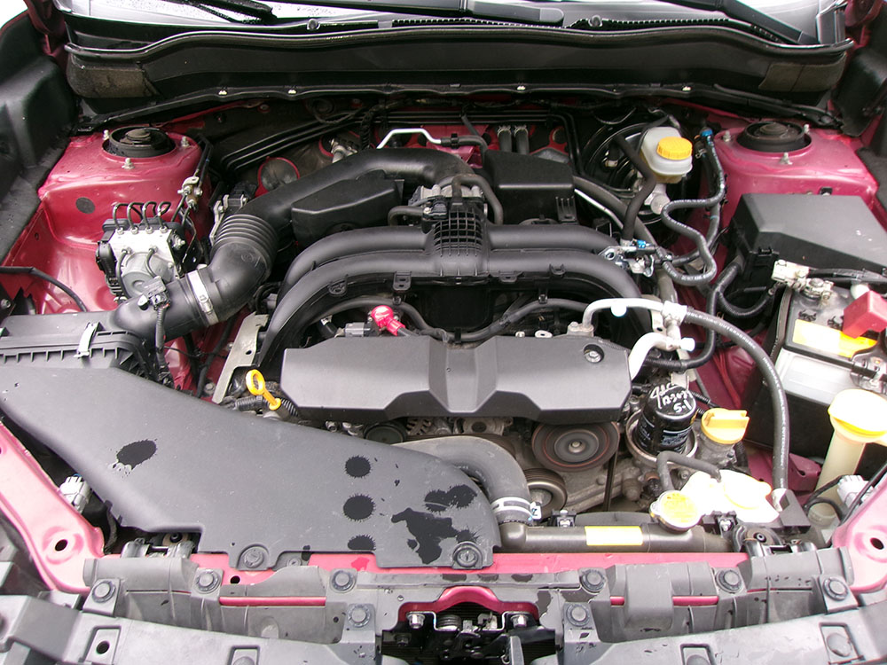 
								SUBARU FORESTER full									