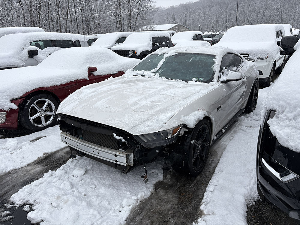 
								FORD MUSTANG GT full									