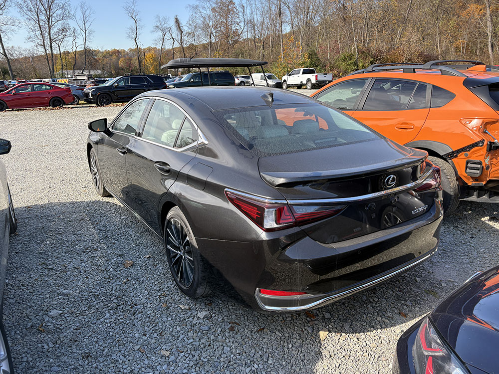 
								LEXUS ES300h PREMIUM full									