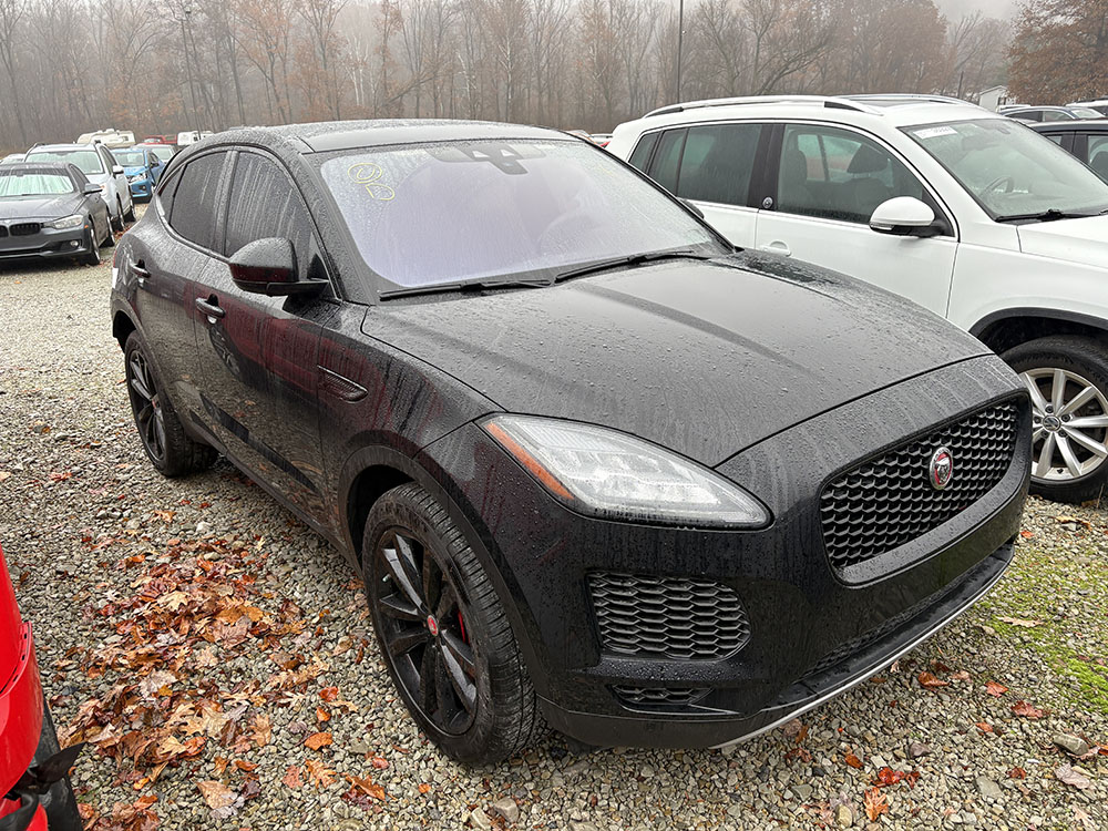 
								JAGUAR E-PACE P250 full									