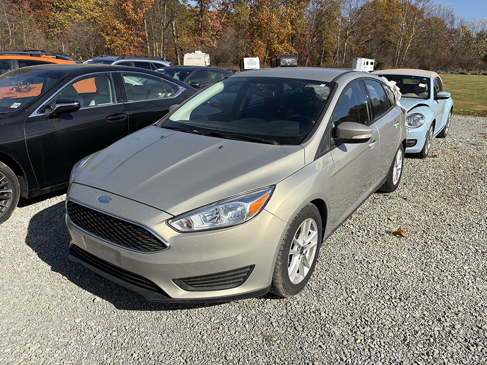
								FORD FOCUS SE full									