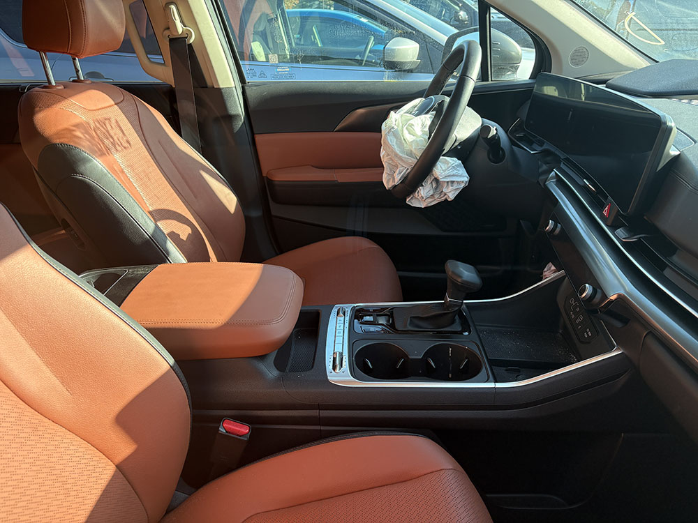 
								KIA CARNIVAL SX full									