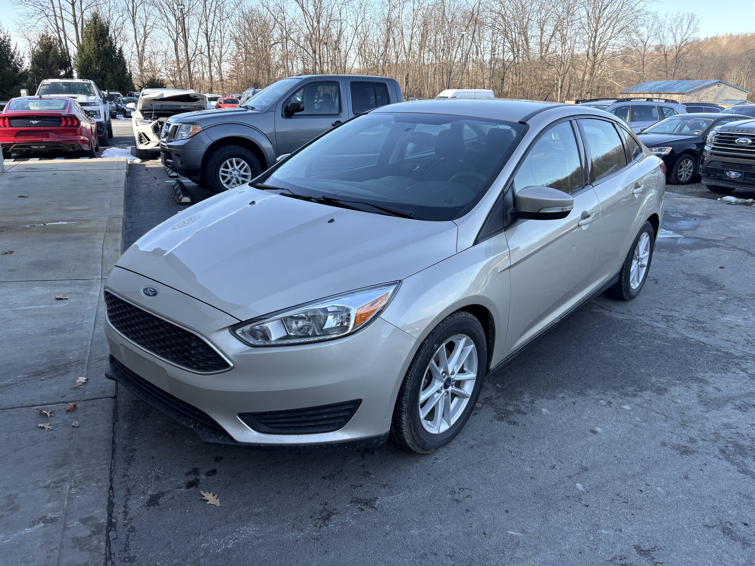 
								FORD FOCUS SE full									
