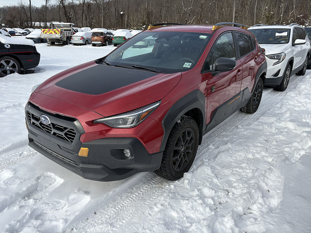 
								SUBARU CROSSTREK WILDERNESS full									