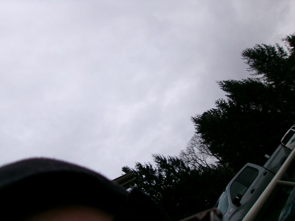 
								FORD ECOSPORT SE full									