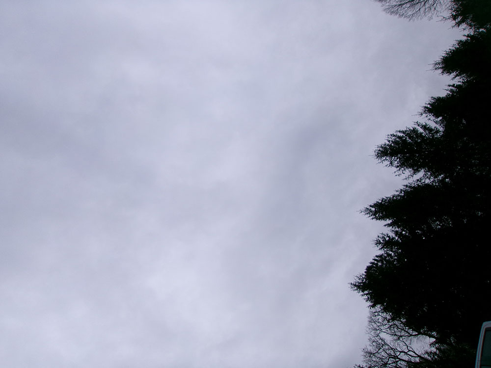 
								FORD ECOSPORT SE full									