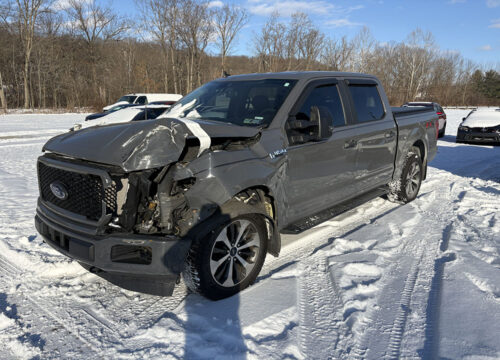 2020 Ford F-150 XL's photo